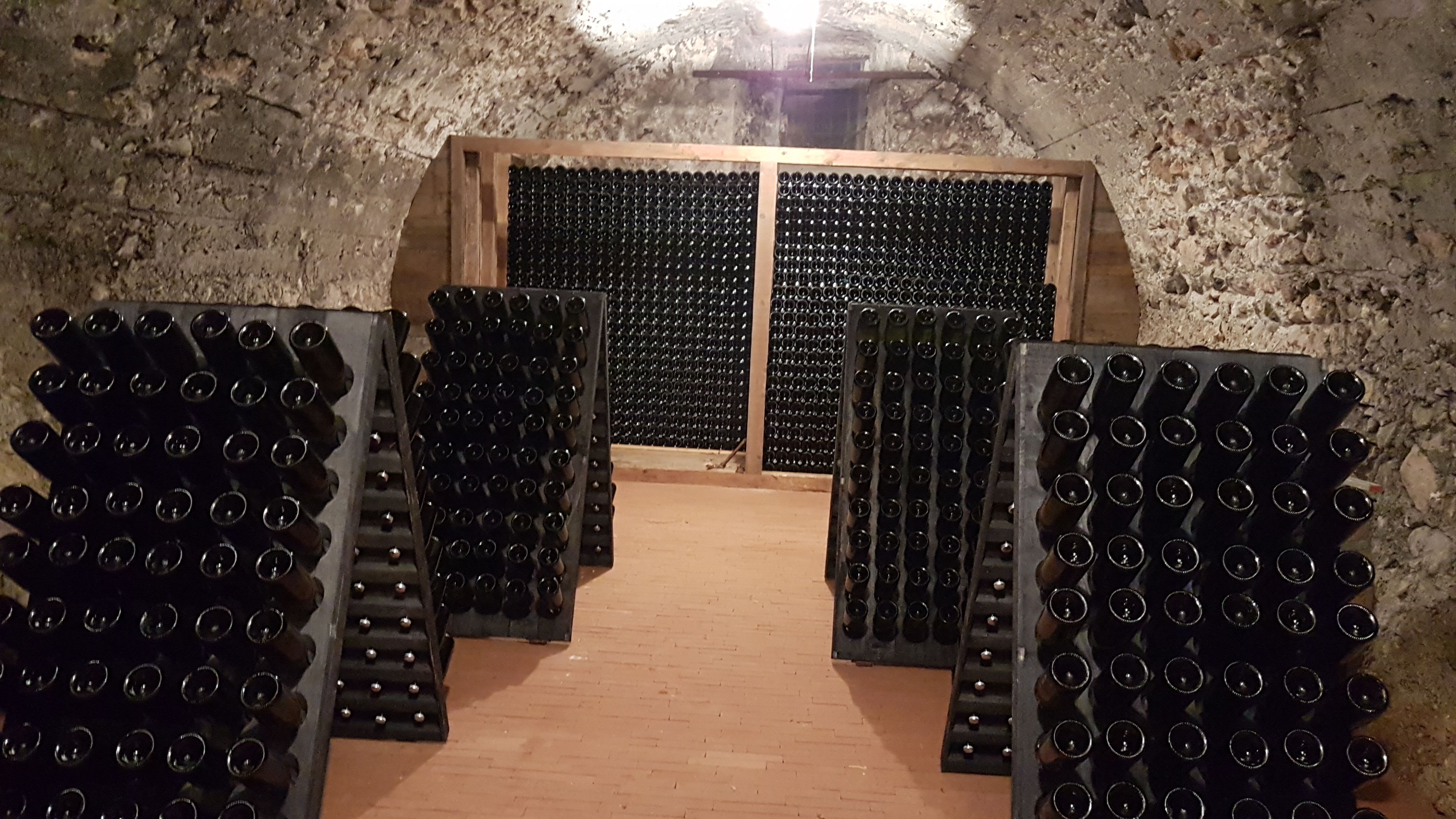 cantina cantina